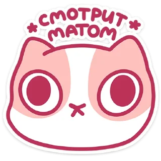 🐱