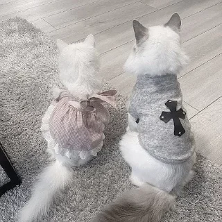 💗