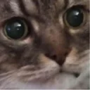 😠