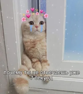 🥲