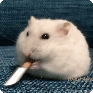 🔪