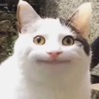 😐