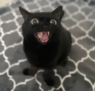 🤬