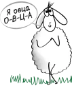 🐏