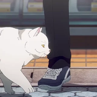 🐈