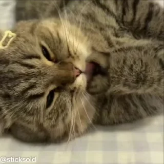 😳