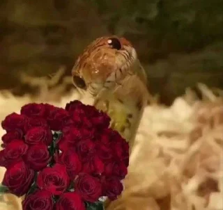 💐