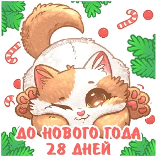 2⃣