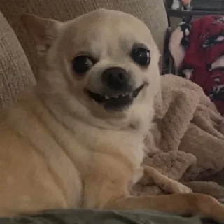 😄