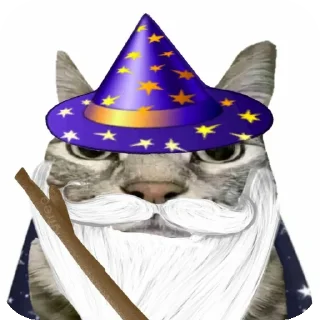 🎩