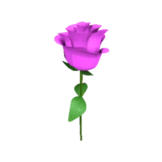 🌹