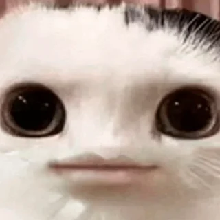 😑