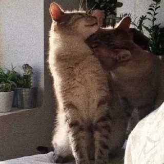 🥰