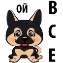 🐶