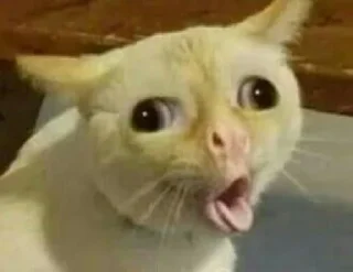🤢