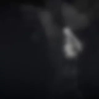 🚶‍♀️