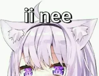 😻