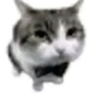 😎