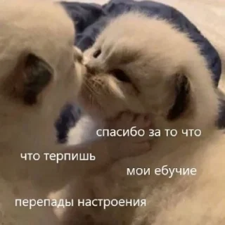 🖤