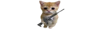🐈