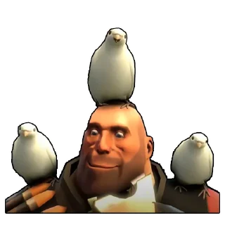 🪶