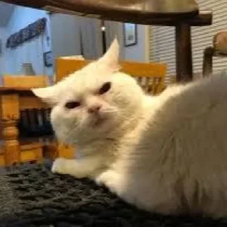 😠