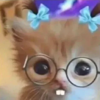 🥹