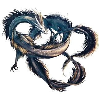 🐲