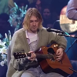 🎸