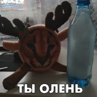 🦌