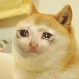 😭