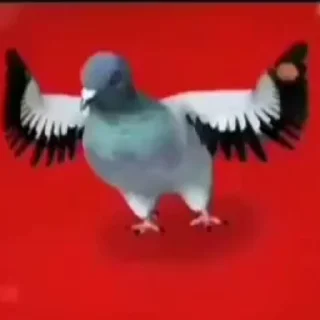 🥳