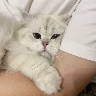 🥰
