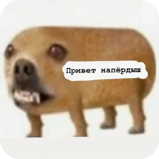 💩