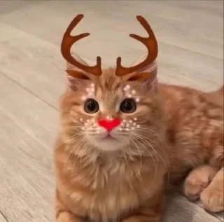 🎅