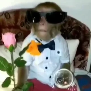 🌟