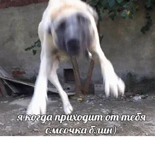 🤪