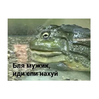 🛏
