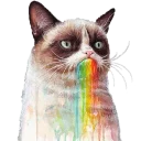 🌈
