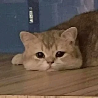 😟