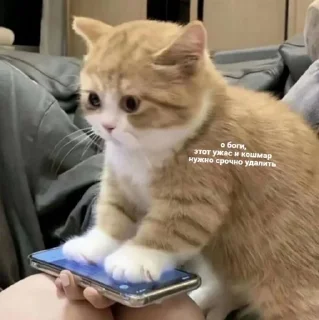 😳