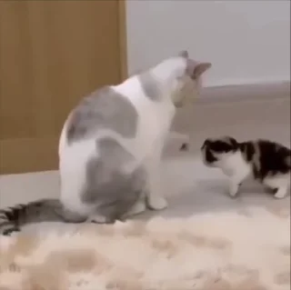 🥹