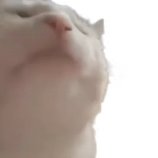 🥳