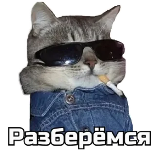 😎