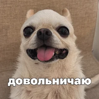 😌