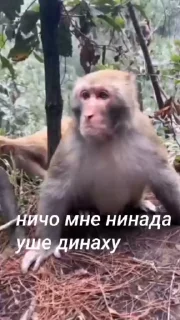 😱