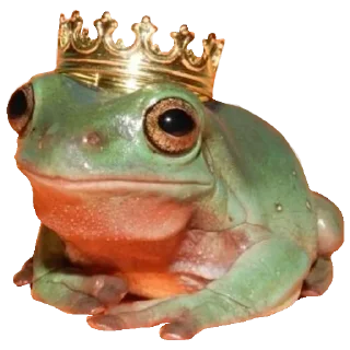 👑