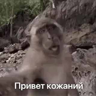 👋