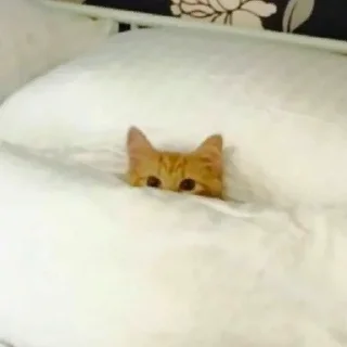 👀