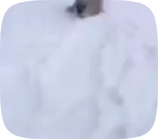 ⁉